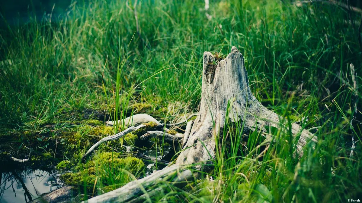 Nature Climate Change